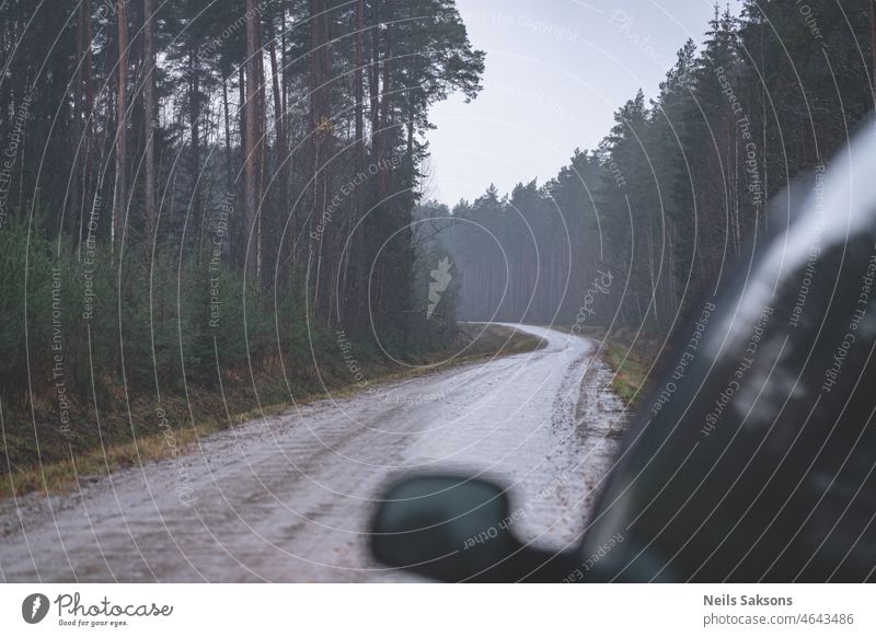 dirt road in pine forest in rainy weather, car silhouette background beautiful blue blurry car cold country dirty frost frozen gloomy gloomy day ice landscape