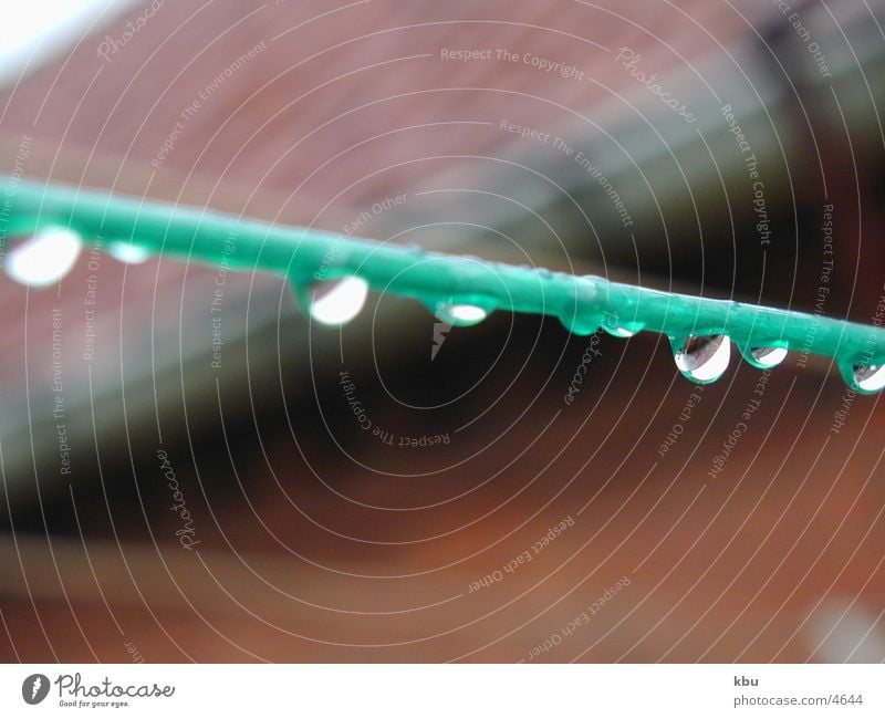 drops on the line Rain Above Things shrill-green Rope