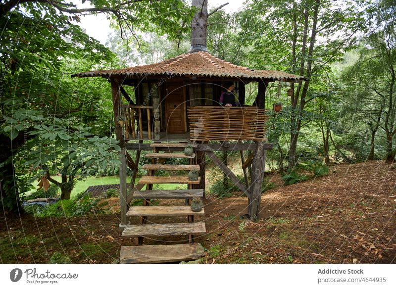 Faceless person in tree house rest recreation countryside building plant nature grove summer forest flora construction foliage spain asturias green environment