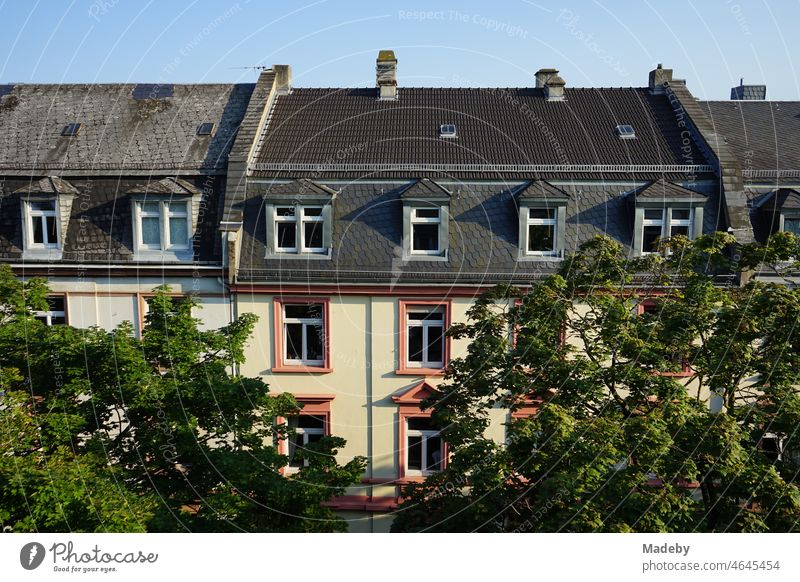 View from the skylight over green avenue trees on renovated roofs with dormer and mansard of beautiful old buildings in the north end of Frankfurt am Main in Hesse