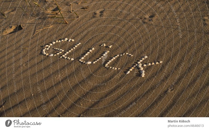 Lettering happiness on the Baltic Sea beach with shells placed Happiness symbol Beach vacation Sign Shell Sand Ocean Love Happy Relaxation Seafood Card fun