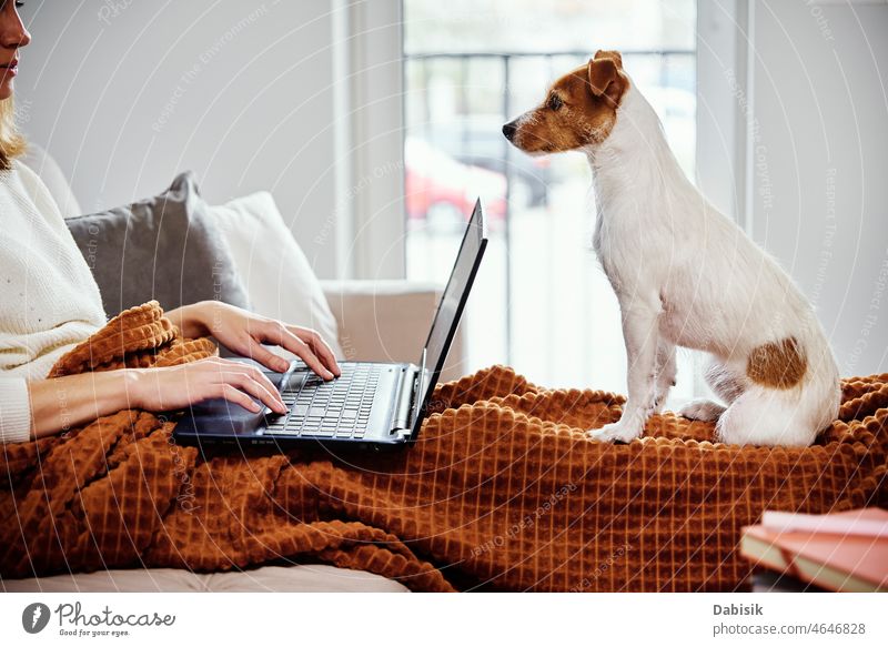 Woman working at home with her dog woman pet sofa laptop couch homework workplace education studying together freelance family lifestyle indoors relaxation sit