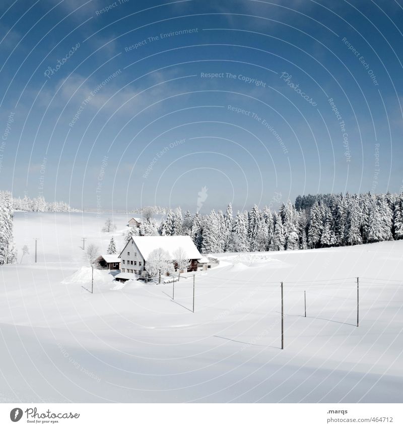 residence Vacation & Travel House (Residential Structure) Nature Landscape Sky Clouds Horizon Winter Beautiful weather Meadow Farm Cold Moody Love of winter
