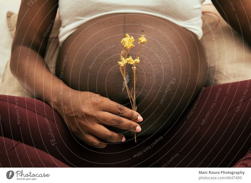 Pregnant woman holding a flower in front of his belly adult african american woman baby background bedroom belly portrait black care child closeup copy space