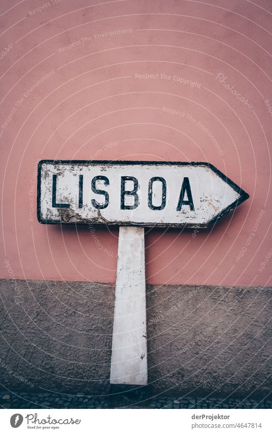 Old signpost to Lisboa in Portugal Nature Environment abandoned place forsake sb./sth. coast Emotions Loneliness Gray Gloomy Subdued colour Central perspective