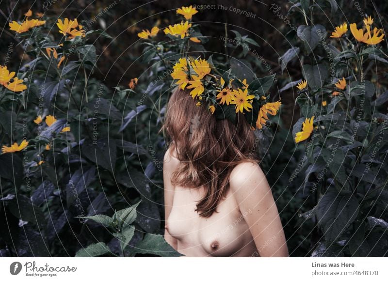 An erotic image of a nude girl posing with a garland. Green leaves and orange flowers surround her. Topless girl, her perfect naked curves, and wilderness in general. The eternal beauty of naked women’s bodies. That’s what this image is about.
