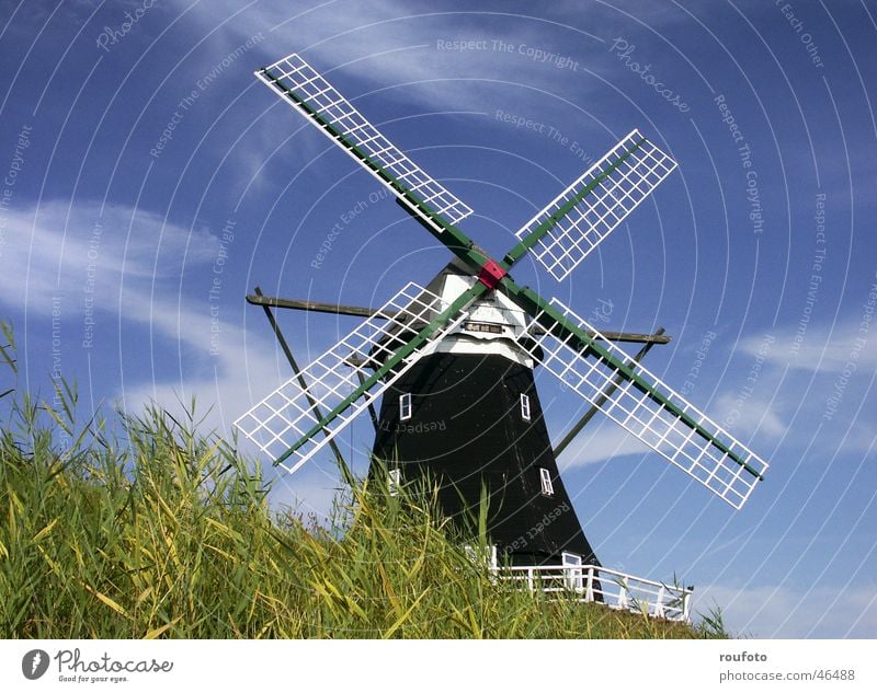 XMT30147 Mill Windmill Historic Miller Flour Mince Dike Pellworm North Frisland Grain Island North Sea