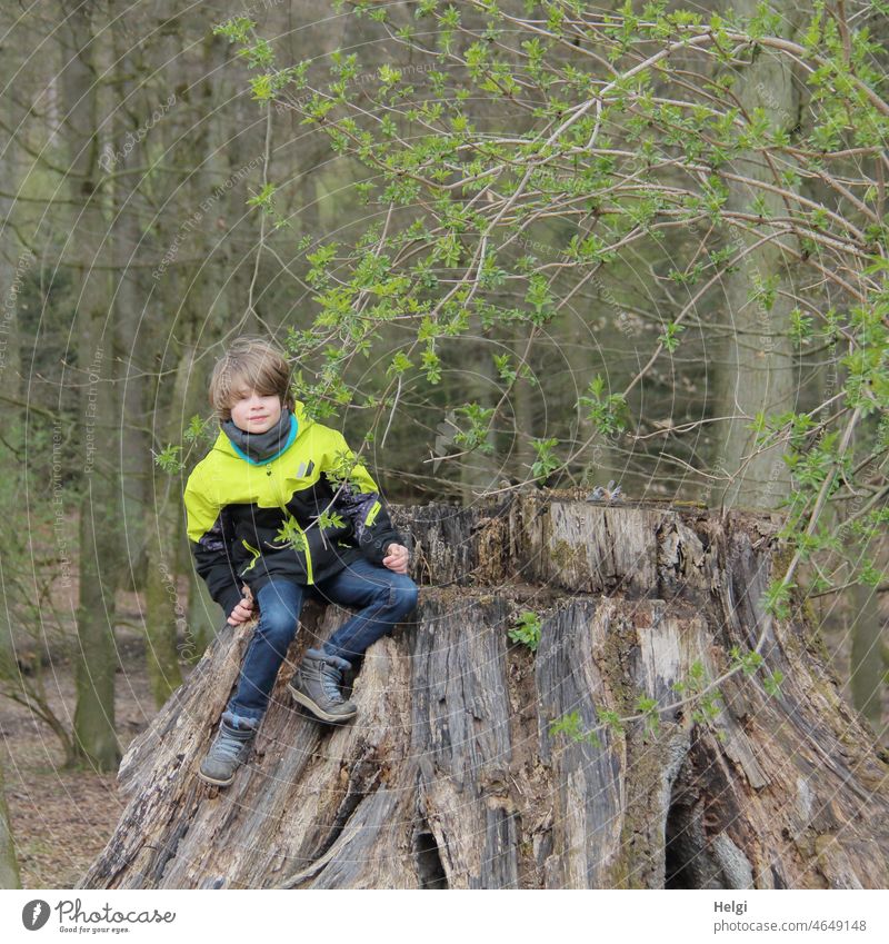 Boy sitting on huge sawed off tree trunk in forest Human being Child Boy (child) Spring Forest Tree trunk sawn off shrub leaves Fresh out Nature