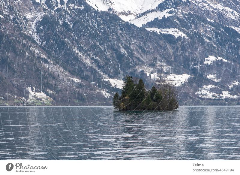 Small island on Switzerland lake Island isle Swiss Swiss Alps Lake Water Iseltwald Snow Spring springtime Islands Trees Mountain mountains Alpine