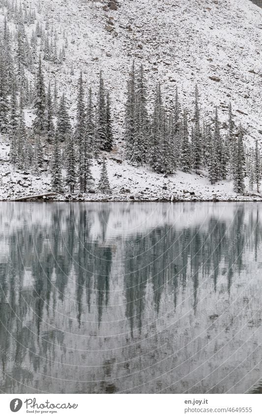 onset of winter Winter Snow Lake Lakeside reflection Reflection mountain lake Mountain Deserted Vacation & Travel Calm Landscape Water Relaxation Idyll