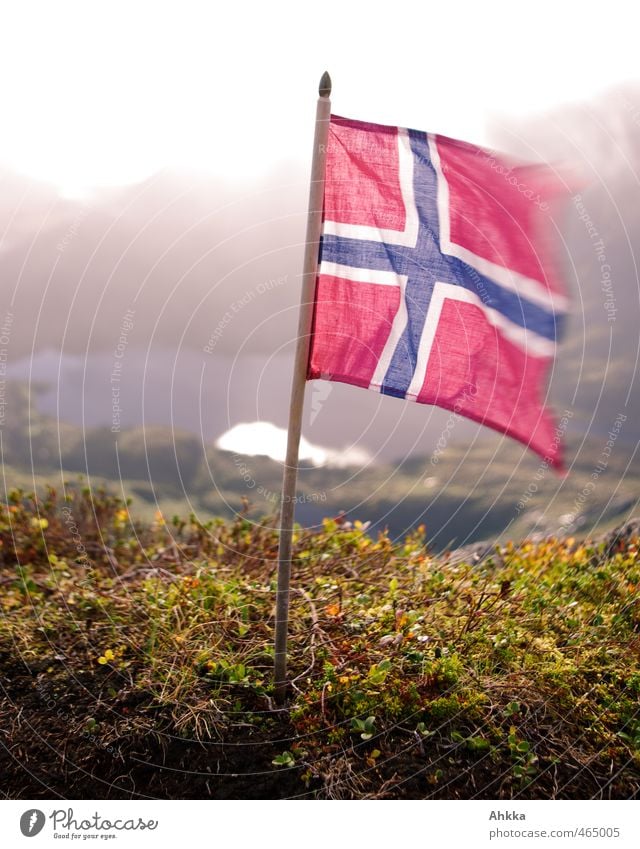 Norwegian flag in storm, backlighting, mountain landscape Vacation & Travel Tourism Trip Far-off places Freedom Sightseeing Expedition Mountain Nature Landscape