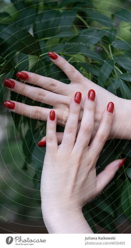 Premium Photo | Female hands with red nail polish