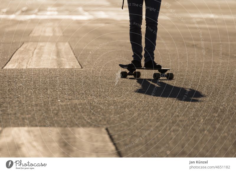 Skateboader on asphalt Skateboarding skateboarder Silhouette Back-light Copy Space left Depth of field depth blur Monochrome Sunlight Warm light Legs