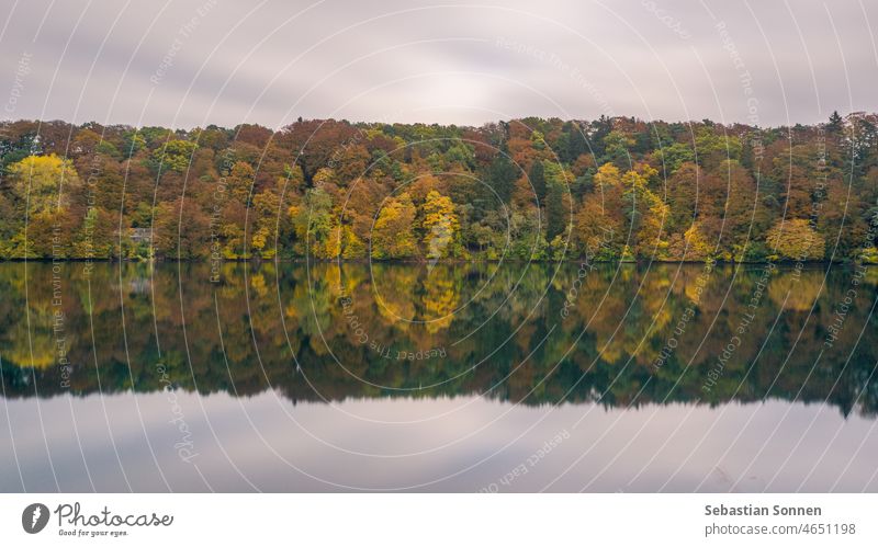 Colorful autumn forest reflected in calm smooth lake Lake Forest Autumn Reflection Water Landscape colourful Nature Yellow Park Picturesque Holiday season