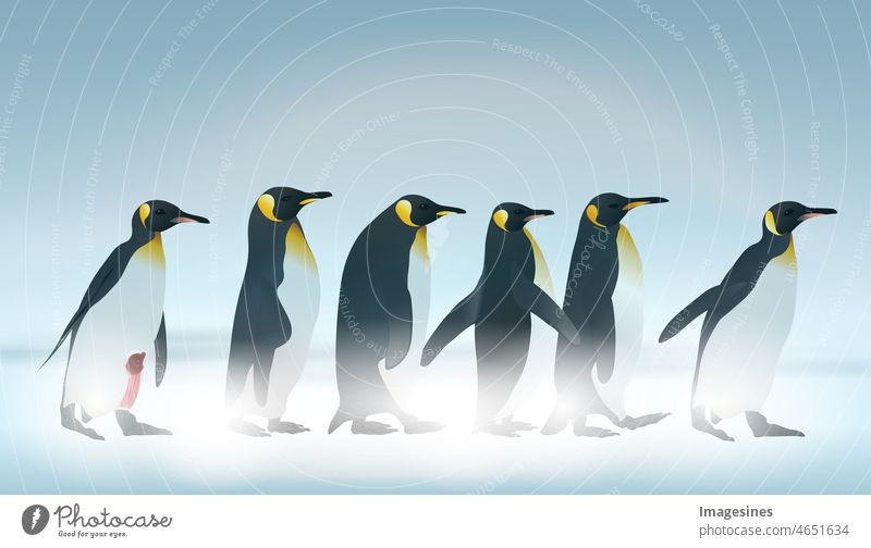 Kaiserpinguine im Schneesturm. Pinguine auf schneebedecktem Land. ein verletzter Pinguin familie design vektor tiere tierwelt antarktis antarktischer ozean