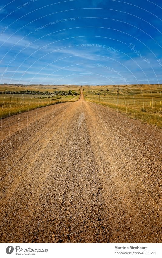 Straight dirt road between agricultural fields in Montana way forward vanishing point agriculture america summer country countryside crop farmland fence