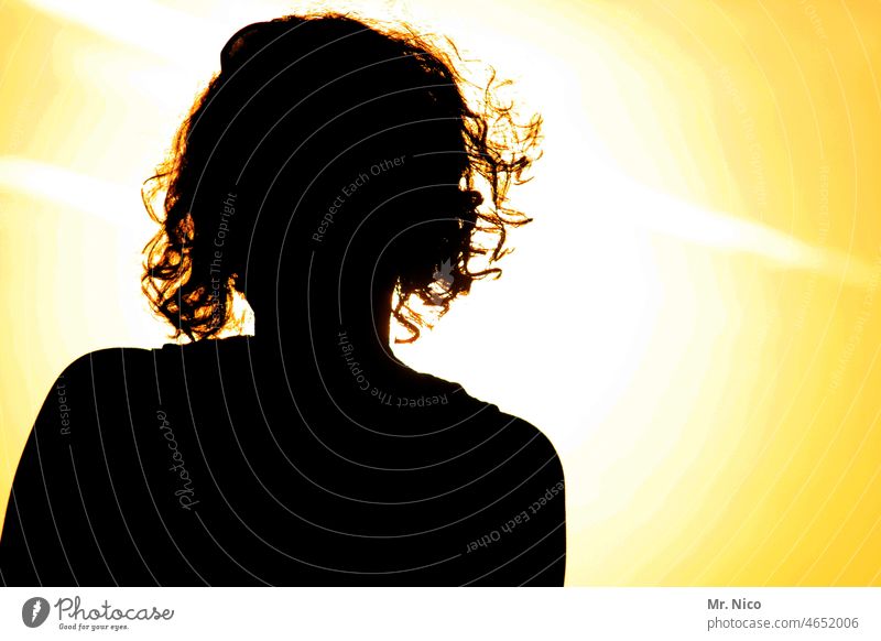 Sun woman Shadow Light Back-light Warmth Sunset Hair and hairstyles Silhouette Profile Woman Summer Curl Upper body Illuminate naturally Feminine Brilliant