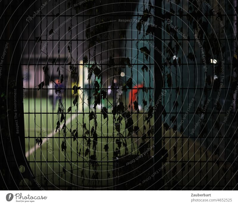 View of illuminated soccer field at night with shadowy players through fence with leaves Foot ball Football pitch Fence Night Floodlight Player Lawn Goal