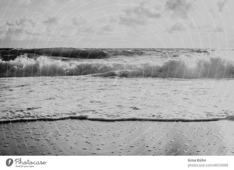 Stormy surf Exterior shot Black & white photo Force of nature Swell Surf High tide Wild Ocean Beach coast Waves Water Environment Moody Longing Dream Life
