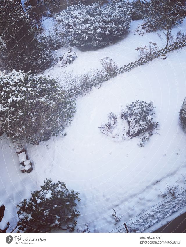 tilted position Snow Garden Winter Romance bush Cold White Fence Neighbours Ice Frost Exterior shot Landscape Nature Tree Snowscape Plant Winter's day Day