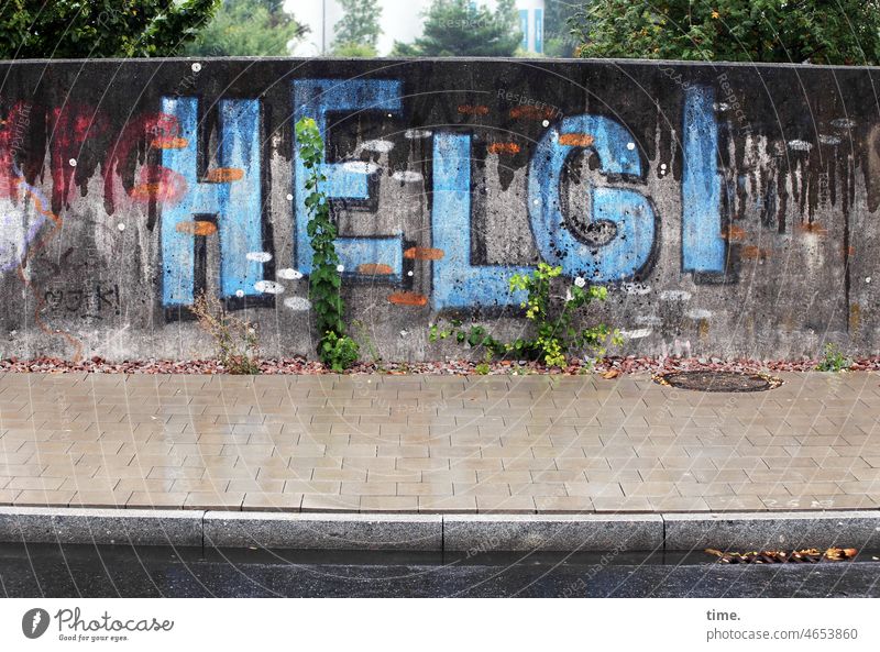 Workshop | GrandmaHomage Wall (barrier) graffiti Name Letters (alphabet) off Street Helgi Plant variegated urban