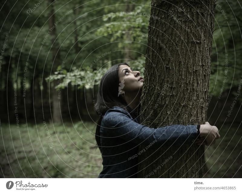 Woman hugging a tree in the forest portrait Profile Tree Embrace looking up Long-haired Dark-haired Forest Expectation Hope hopeful Feminine feminine stop Lean