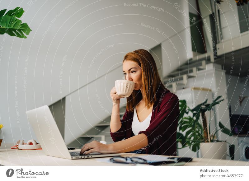 Female freelancer with on laptop drinking coffee woman work using remote internet online typing female netbook browsing professional concentrate at home