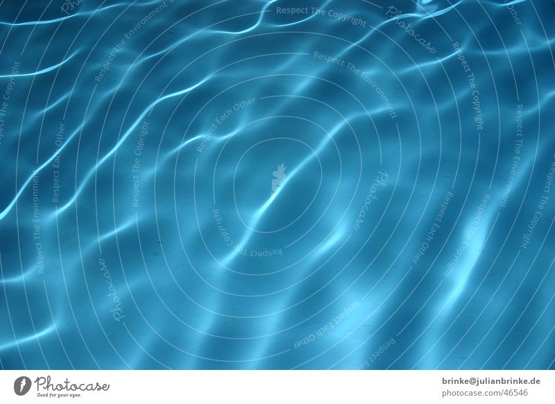 cold, clear water IV Swimming pool Waves Light Water Blue Julian brink swimming Guinea pig