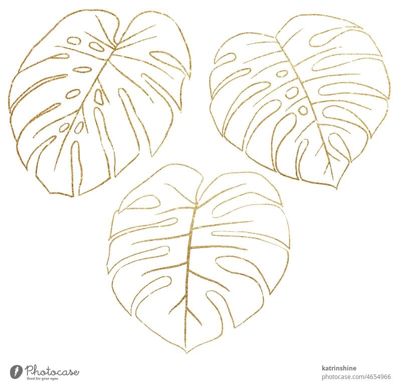 Golden Outlines tropical monstera leaves illustration Botanical Decoration Exotic Foliage Hand drawn Isolated Ornament Set Sillhouette Summer boho bridal bright