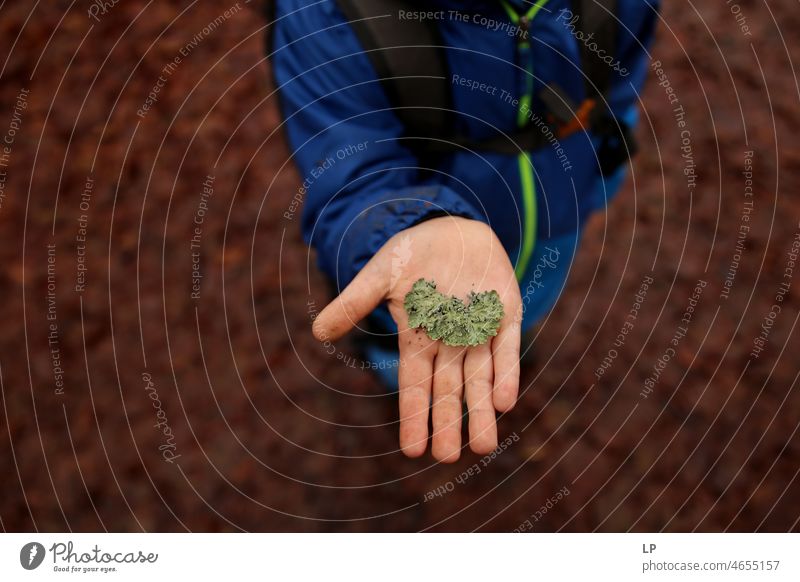 hand showing a heart shape piece of moss Structures and shapes Pattern Abstract Elements Connection Romance devotion Soul Lovers Joy Emotions Complex Passion