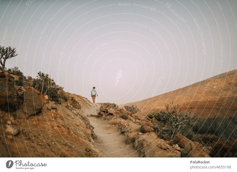 #A0# Canary Islands adventure IV trendsetting future outlook Forward-looking Future Girl power Woman hikers Hiking Class outing Hiking trip wanderlust