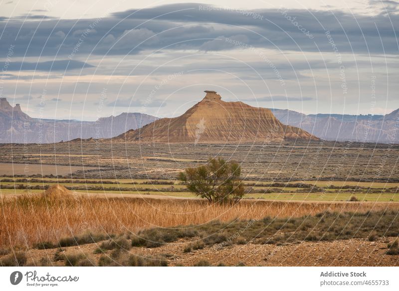 Dry grass in bad land of dessert area under cloudy sky desert valley dry nature landscape wild scenery travel tourism bardenas reales tranquil picturesque