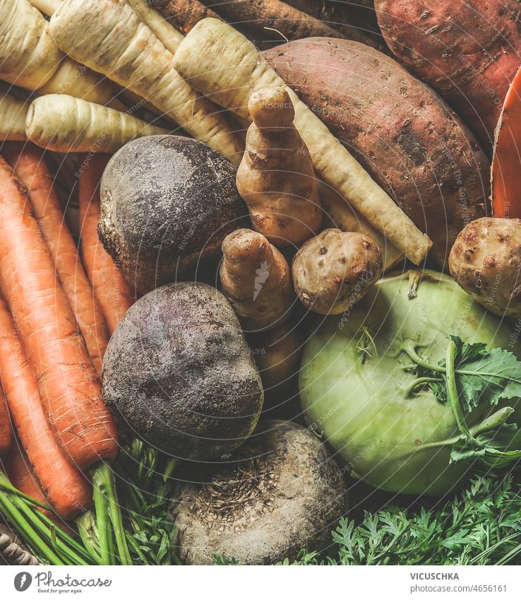Root vegetables background close up root vegetables beetroot carrots kohlrabi sweet potato parsnip healthy colorful seasonal fall top view autumn food fresh