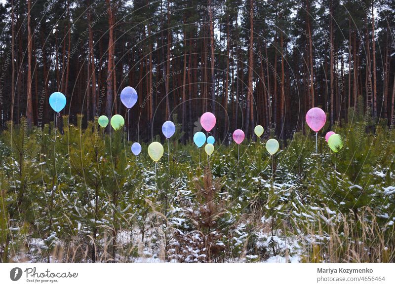 Balloons in the woods. Party trees Winter Forest forests Landscape Snow Happy celebration Multicoloured Emotions Art Cold Frozen Snowfall balloons