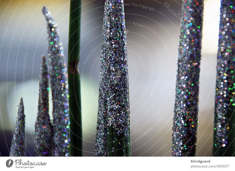 glitter Bushes Metal Stand Glittering Modern Beautiful Multicoloured Silver Decoration Colour photo Interior shot Experimental Deserted Day Artificial light
