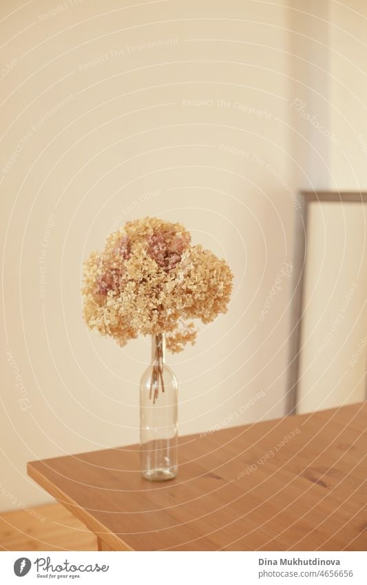 Dry hydrangea flowers in neutral colors on a table in the living room at home. Apartment decor in minimalist style with soft warm sunny light. Hydrangea bouquet