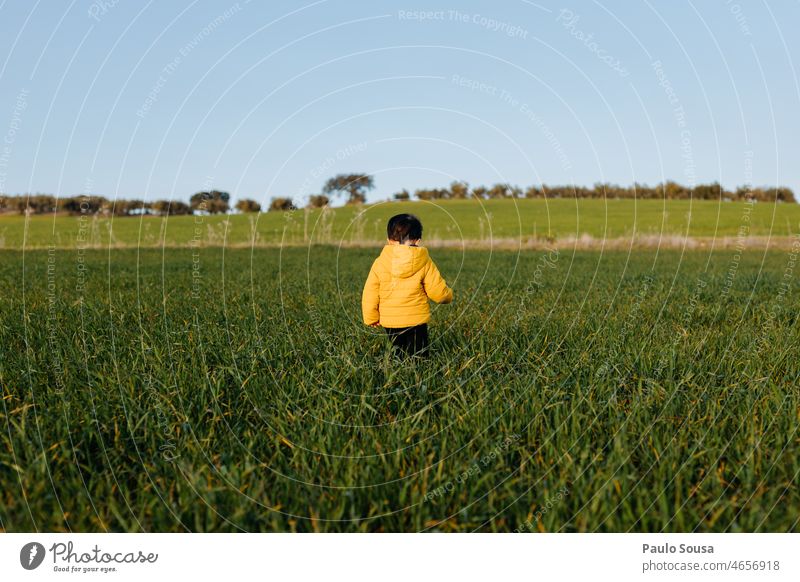 Rear view child walking in green field Child Boy (child) 1 - 3 years Caucasian Yellow Infancy Human being Exterior shot Colour photo Life Nature Toddler holiday