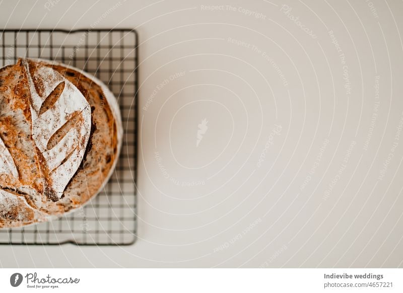 A loaf of home made sourdough bread with poppy seed on a cooling rack on beige background. The background is blurred, the bread is on the left hand side. Copy space flat lay image.
