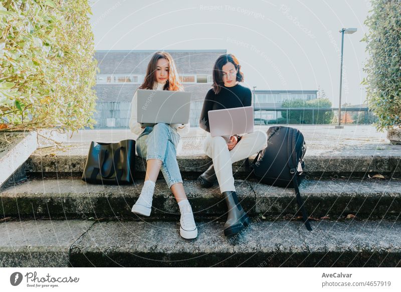 Two young students working on their laptops outside university class sitting together with bags and trendy clothes. Young students working and studying alongside. Creative student. Young woman campus.