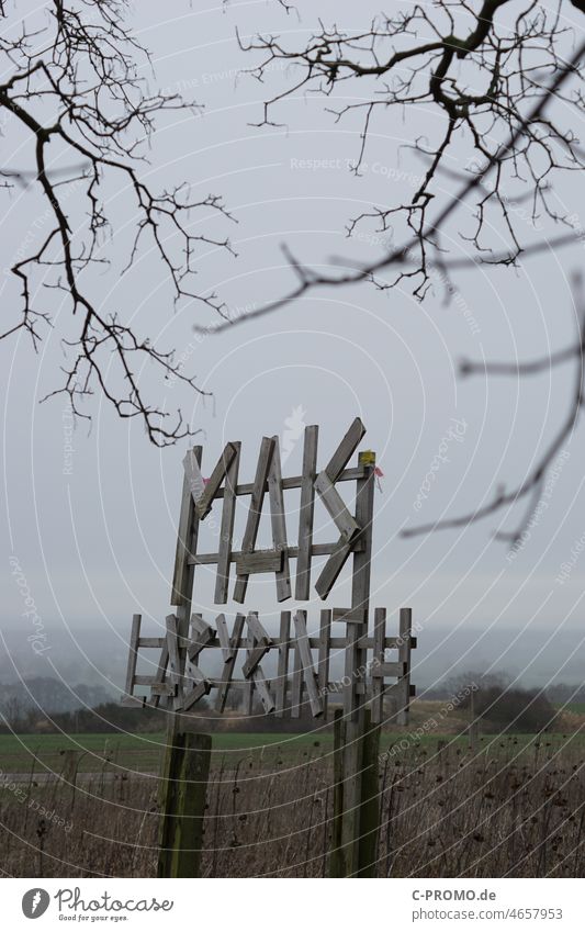 Corn maze sign in autumn Autumn Creepy Dreary Threat Tree Exterior shot Dark Fog Deserted Gloomy Bad weather