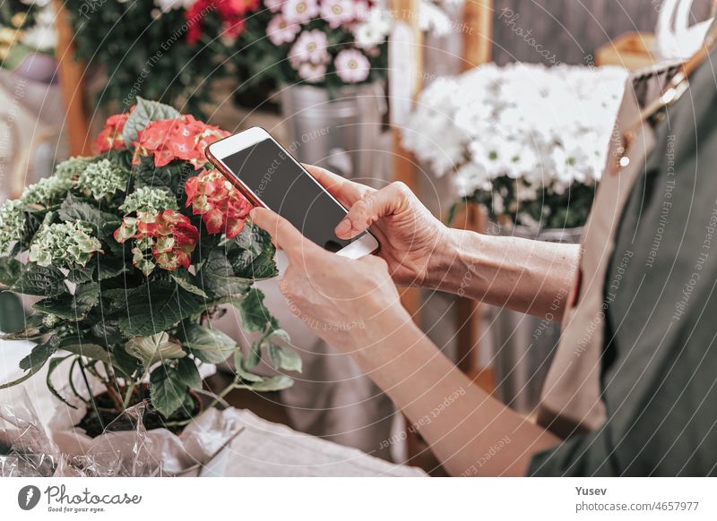 The florist's hands are holding a smartphone. The florist accepts an order using Internet technologies. Workplace of a florist. Small business concept. Flower delivery concept. Side view.