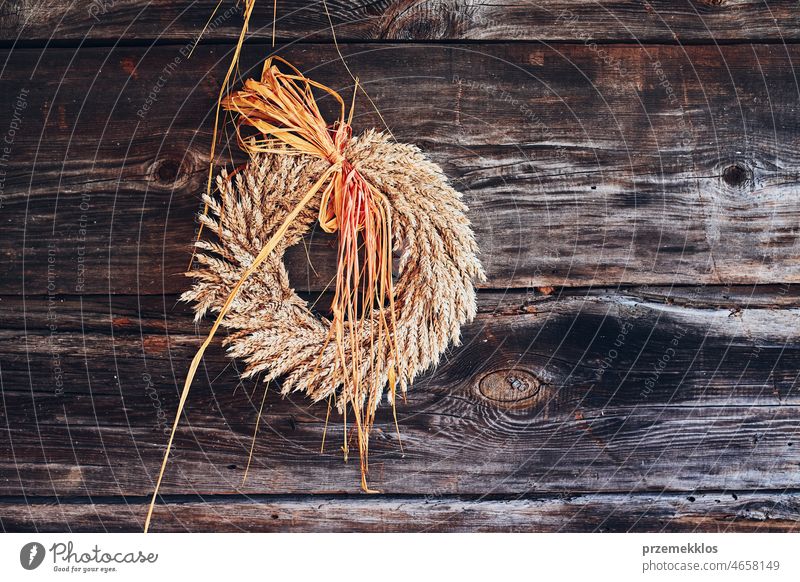 Wreath of golden ears of wheat, dried flowers and herbs tied with red ribbon hung on wooden wall wreath rustic decoration background ornament vintage door