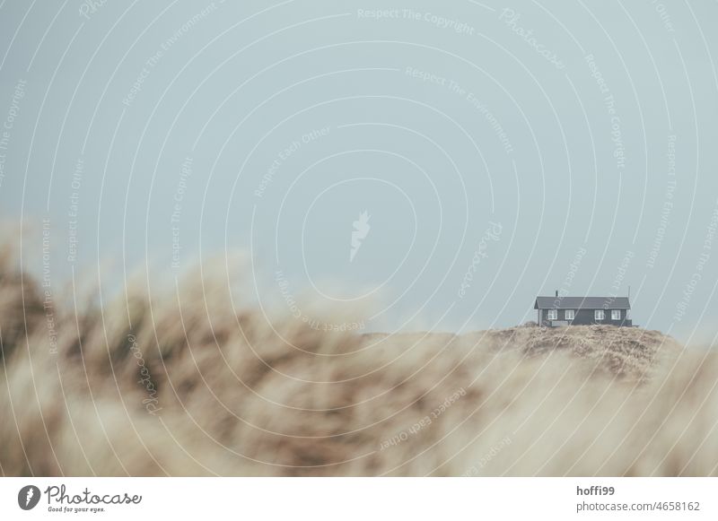 a lonely house in the dunes - winter by the sea House (Residential Structure) Vacation home duene Remote Loneliness insulation Marram grass Wind North Sea coast