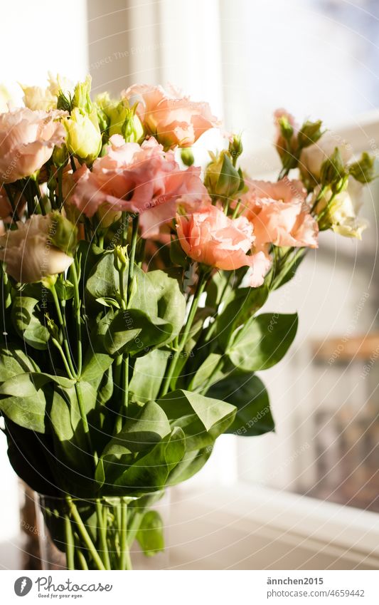 A bouquet with eustoma stands in the window Eustoma flowers Spring Bouquet Decoration blossoms Pink apricot Bright Interior shot Blossom Nature Green Blossoming