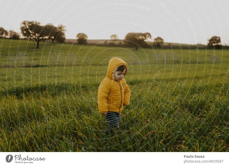 Child with Yellow hooded jacket walking on green grass childhood Boy (child) 1 - 3 years Caucasian Hooded (clothing) Infancy Colour photo Authentic Lifestyle