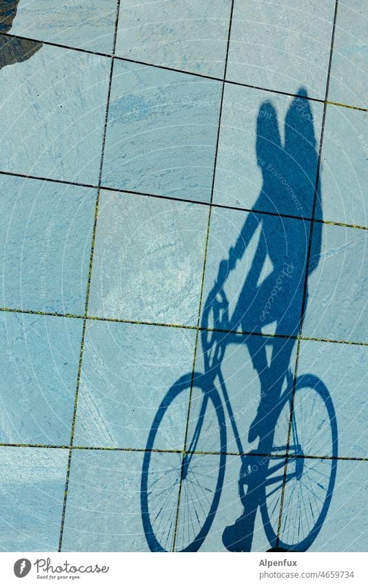 tile man Bicycle Cycling Shadow Shadow play Exterior shot Sunlight Driving Lanes & trails Mobility Day Cycling tour Cycle path Leisure and hobbies