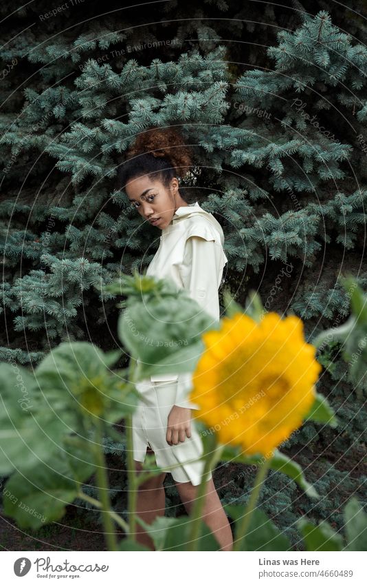 Ukrainian Fashion Week is where all gorgeous models are showing their high-fashion faces. Like this pretty dark skin girl dressed in a white latex dress. Curly brown hair, some sunflowers and pines as a background, and a damn fine look in general.
