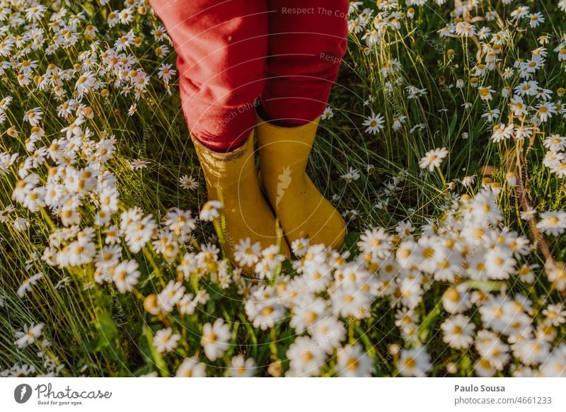 Child with Yellow rubber boots on flowered field Girl Rubber boots Red Daisy Spring Spring fever Spring flower springtime Spring day Flower Nature Blossoming