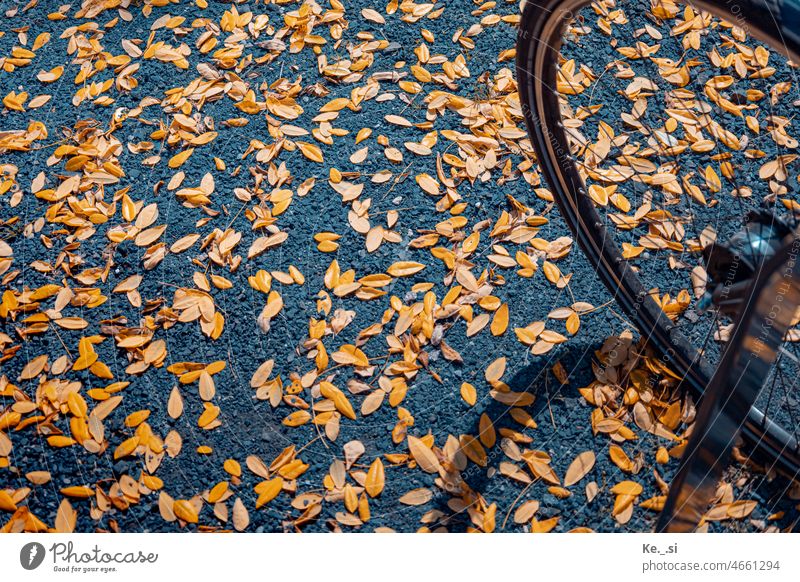 Bicycle tires on bicycle stand with shadows and leaves on gravel path, autumnal Exterior shot Available Light Colour photo Deserted rest take a break