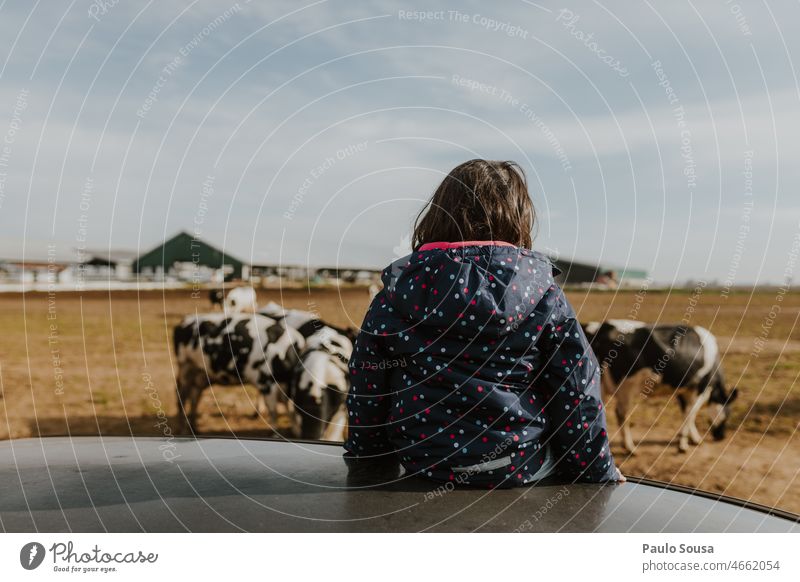 Rear view child looking at cows Child Girl 3 - 8 years Infancy Colour photo Exterior shot Human being Day 1 Nature Cow Farm Farm animal Happiness